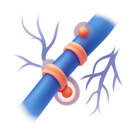 Hormones That Tighten Blood Vessels